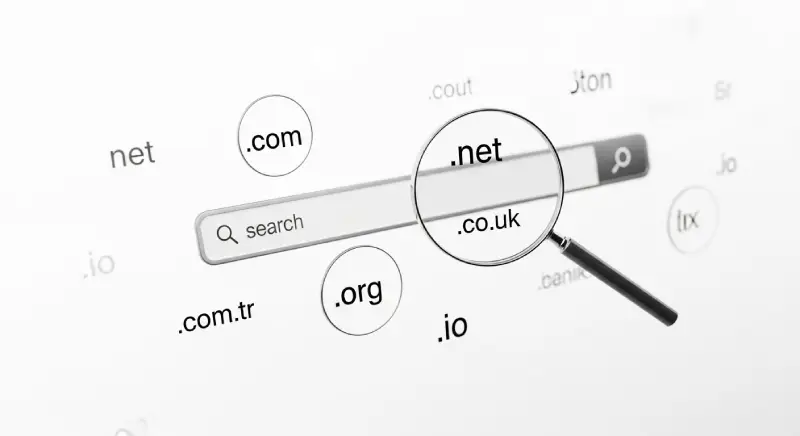 Projeniz İçin Doğru Alan Adı (Domain) Nasıl Seçilir? Etkili Tüyolar